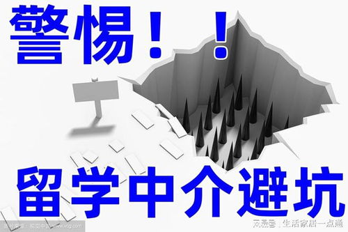 北京留学中介机构权威揭露 十大排名内幕优劣势自费出国指南